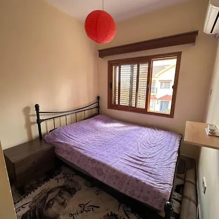The House Villa *